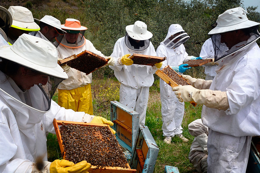 apicultores900x600